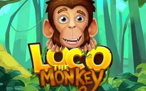 Loco the Monkey